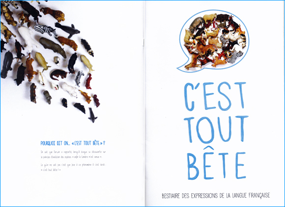 couverture edition workshop c'est tout bête